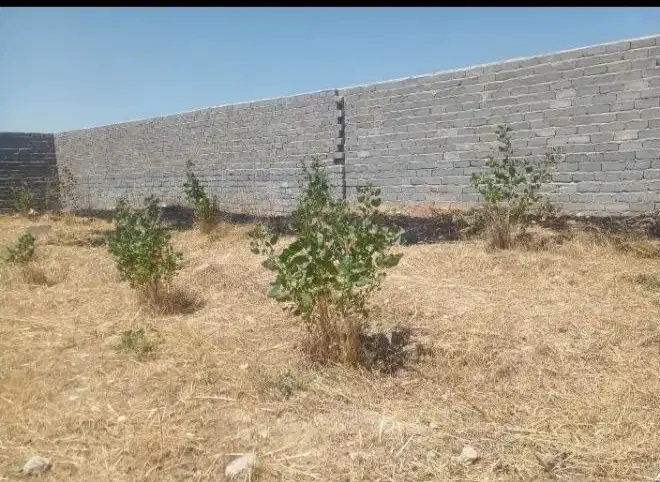 2000 زمین باغی