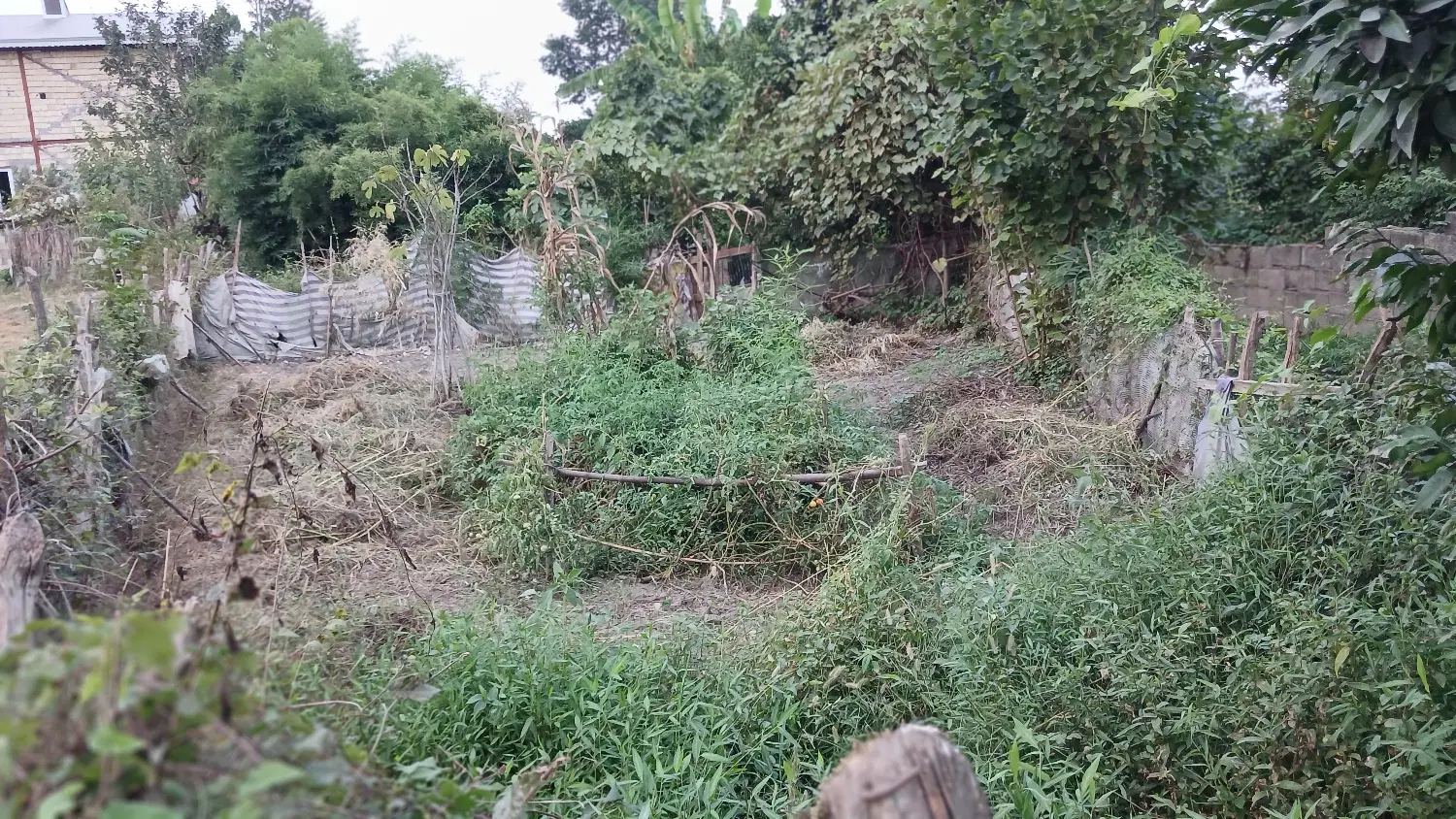 فروش زمین درروستای زیبا وسرسبز وبکر دارباغ
