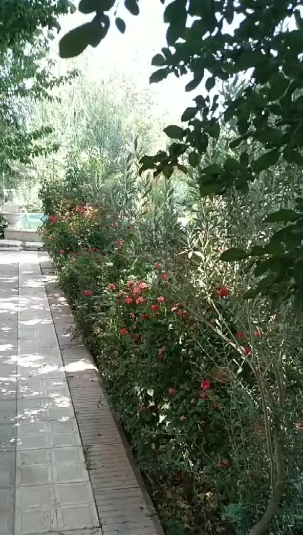 باغ زیبا با منظره کوه و رودخانه
