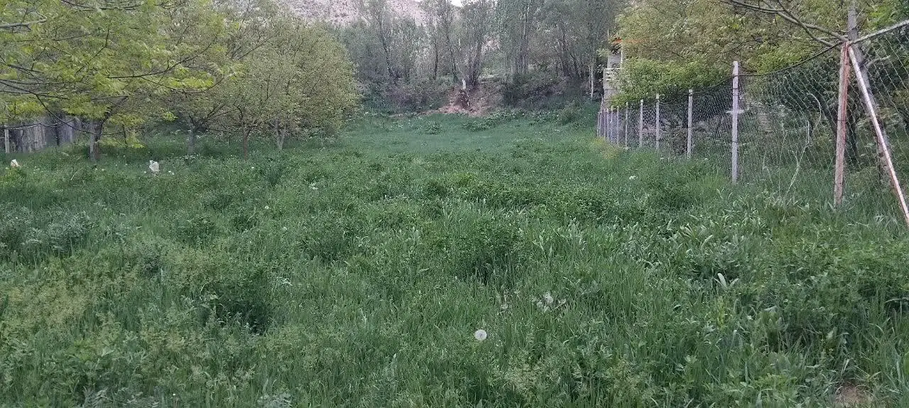 زمین تنگه واشی