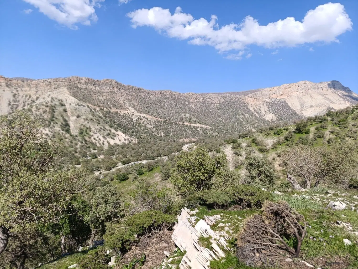 فروش زمین مسکونی  منطقه آزاد مهران