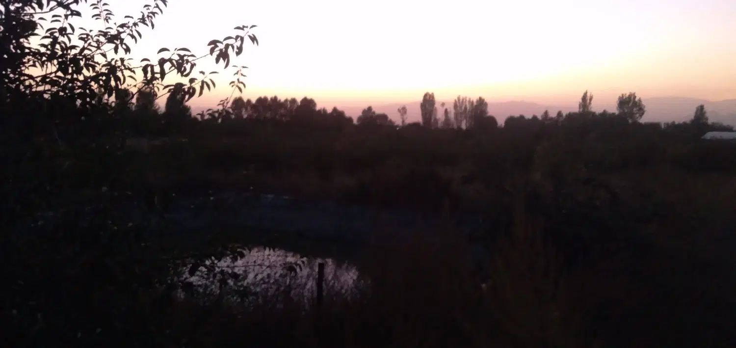 باغ به مساحت ۷۵۰۰مترمربع واقع در روستای نصیراباد