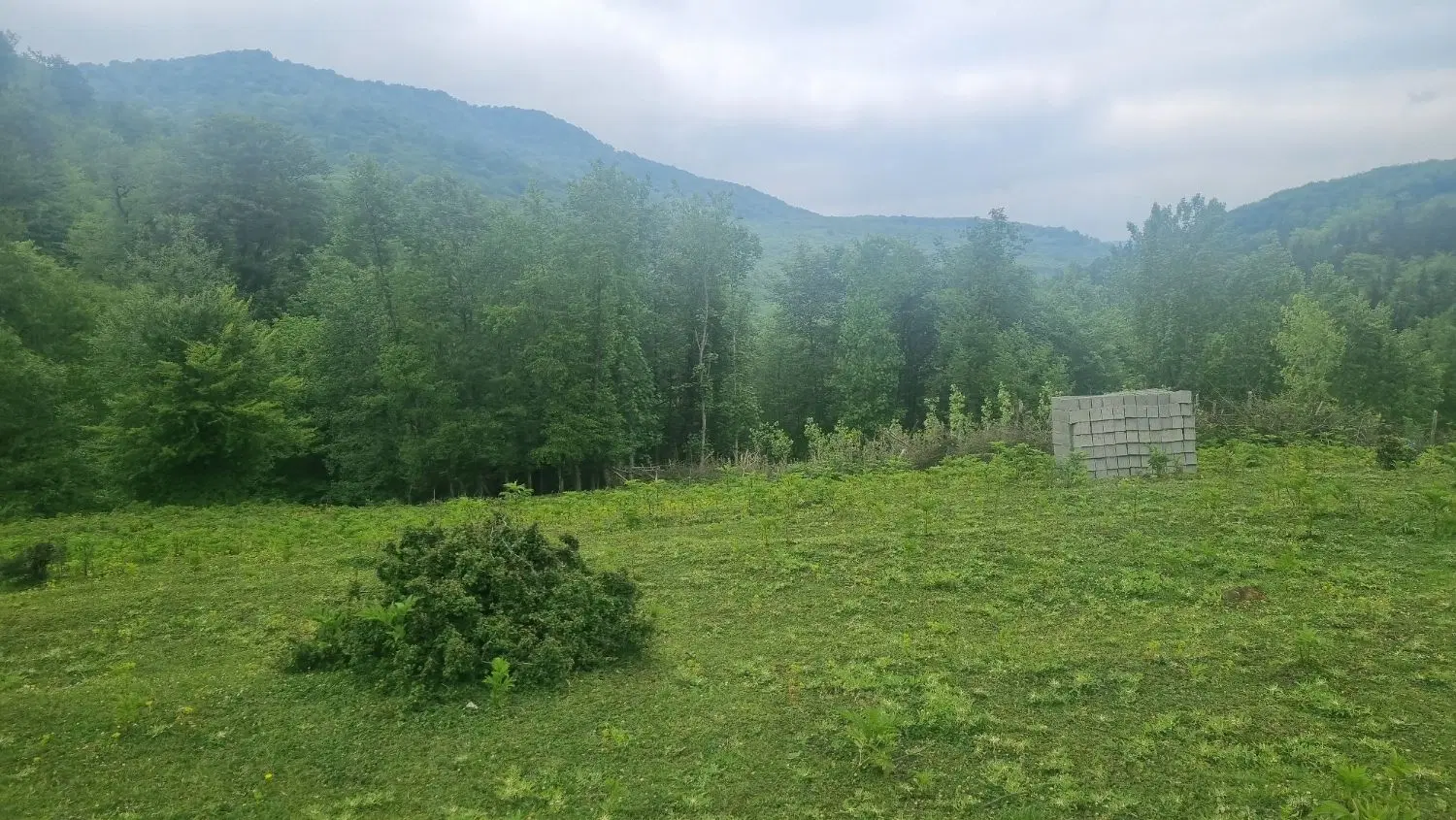 زمین کشاورزی واقع در روستای لاجیم