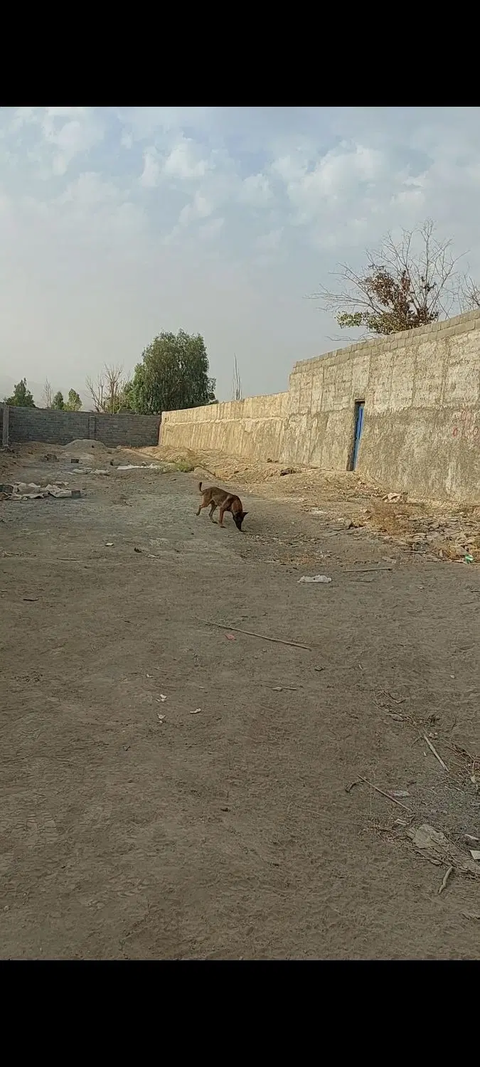 ۱۰۰۰متر زمین