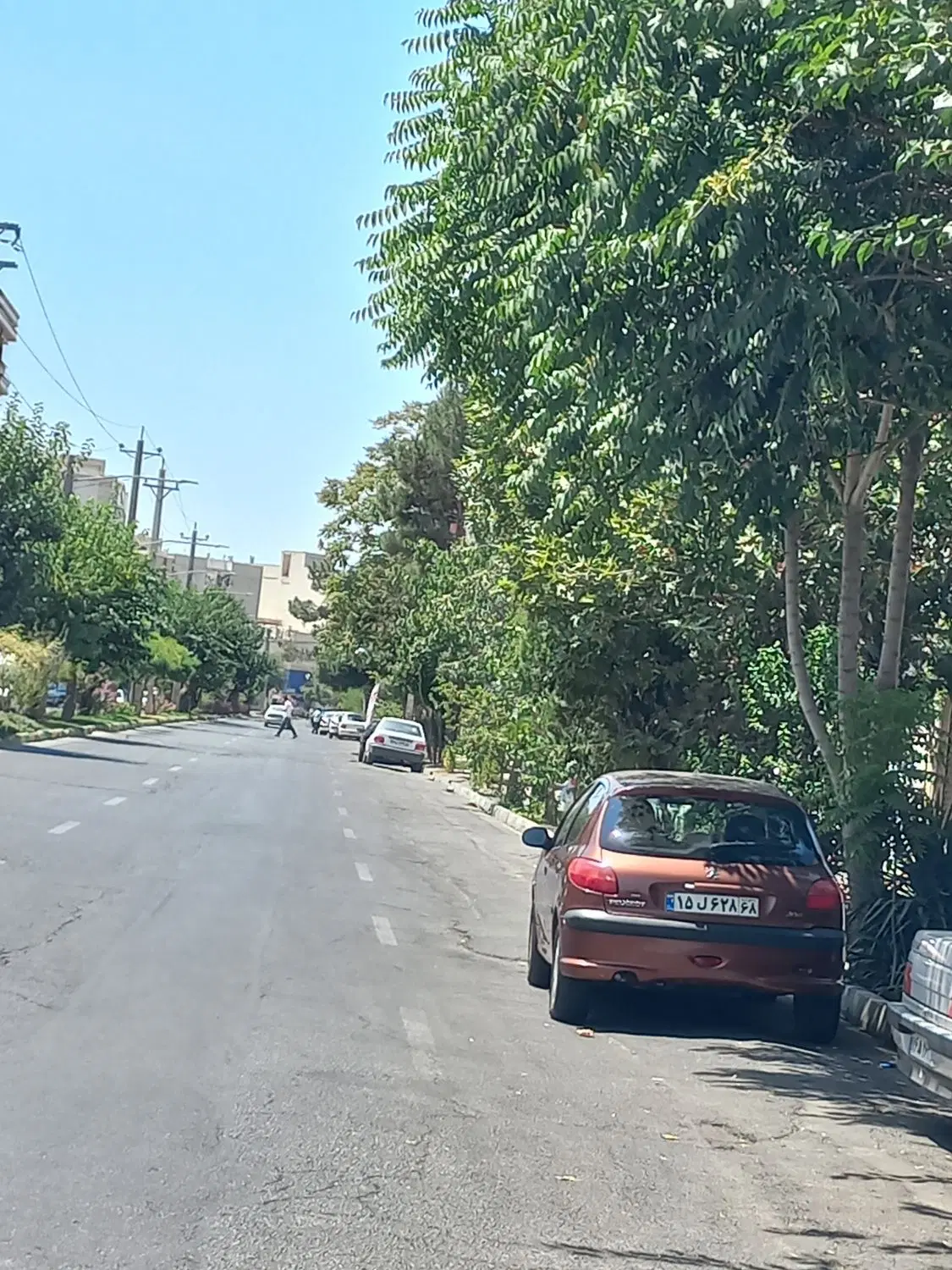 یک باب ملک تجاری،سند تک برگ