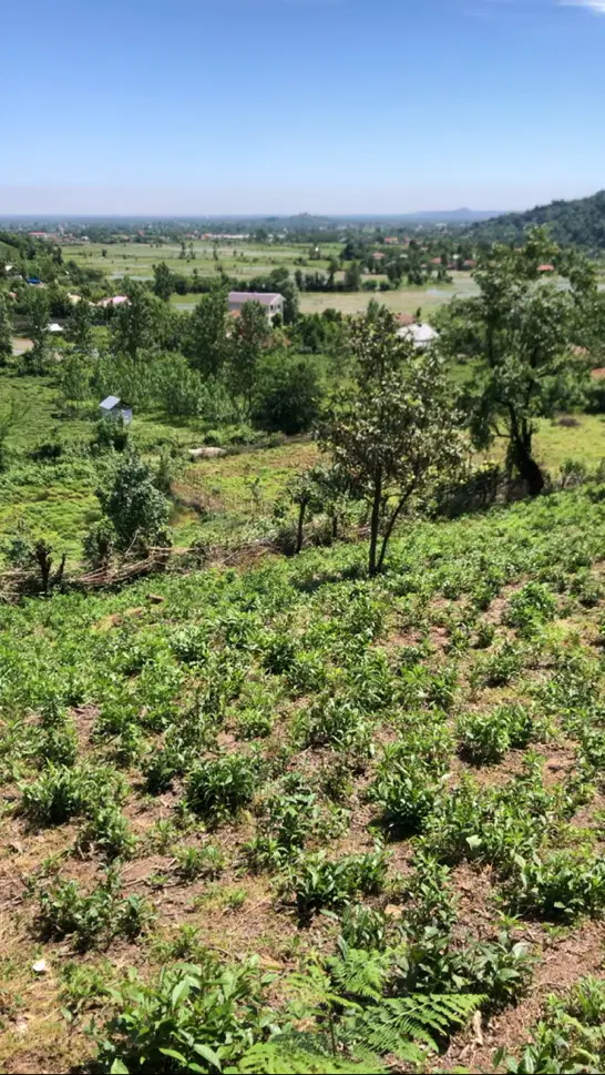 زمین ۴۰۰متر قلعه رودخان سیداباد