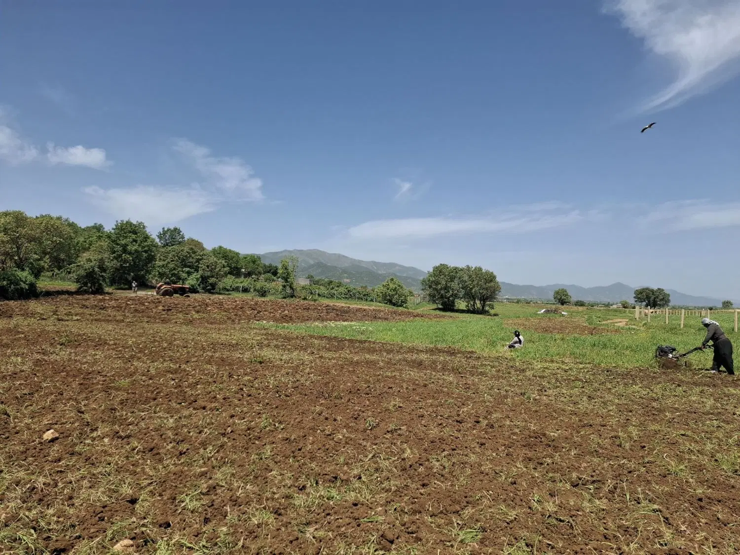 زمین کشاورزی