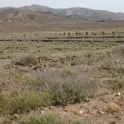 1860متر زمین زراعی فولادمحله