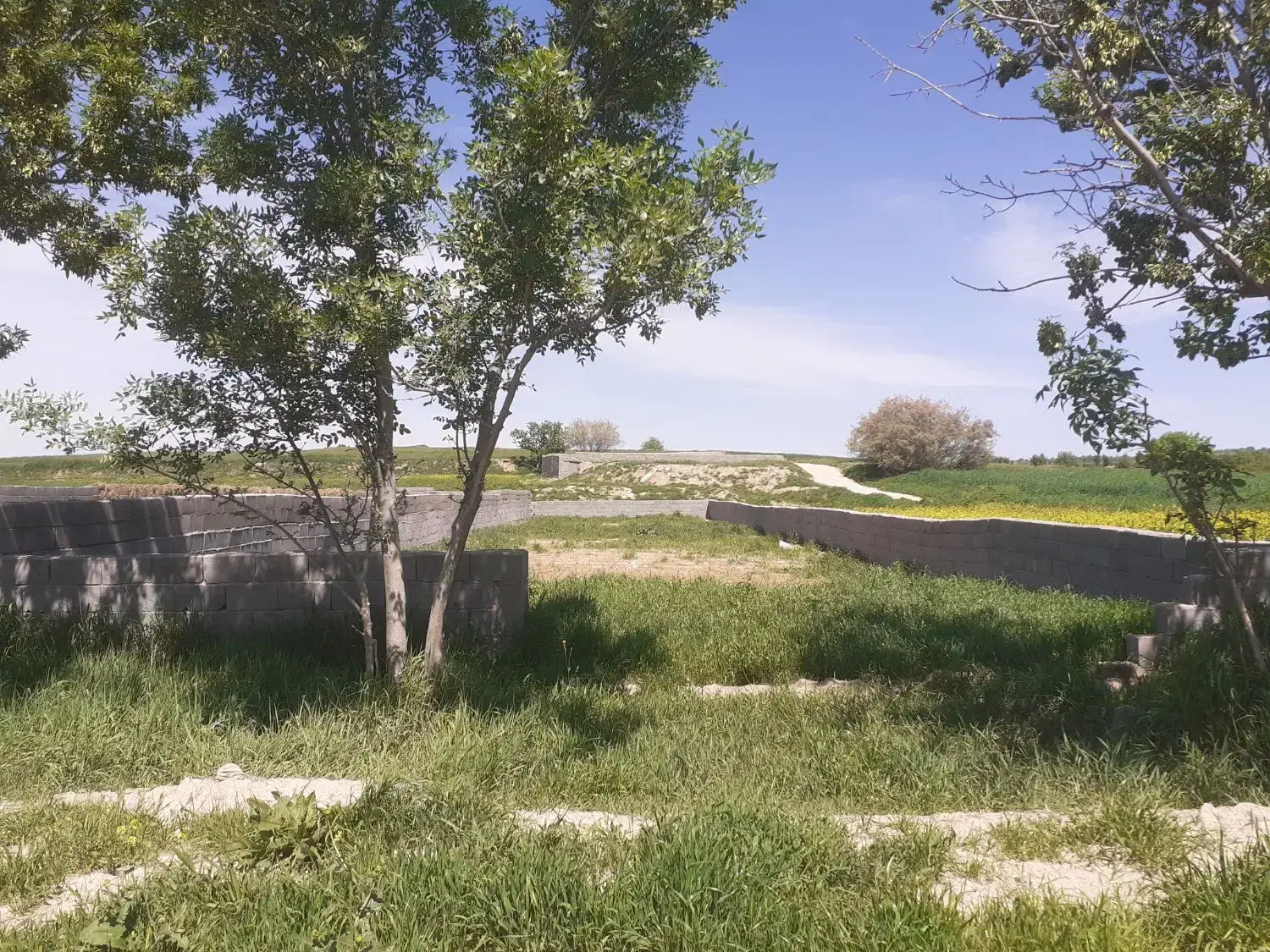 راه بیارزمین