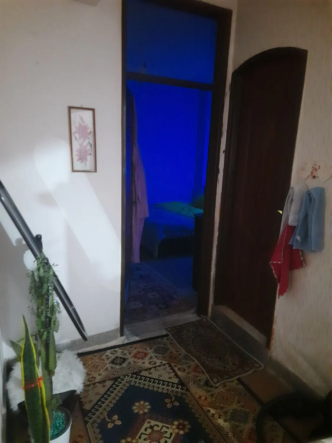 موقعیت مکانی عالی