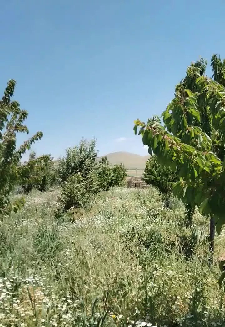 خانه باغ دل 7ساله شهریکند