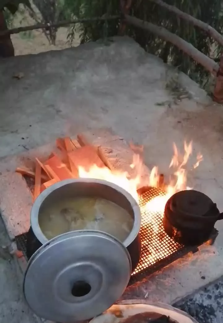 باغ 3ساله توسکستان