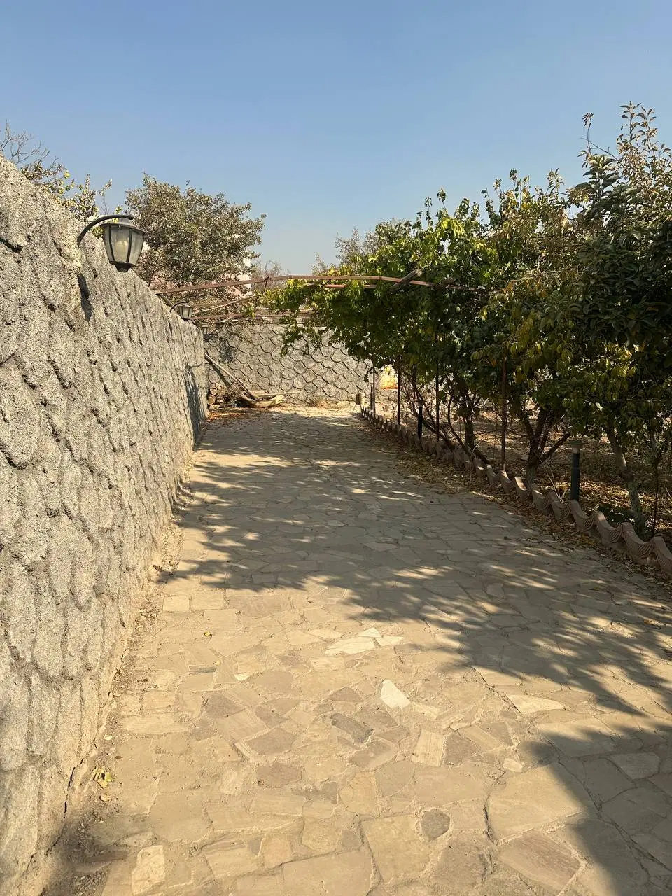 فروش باغ ۶۰۰ متری در گلدشت قلعه سفید