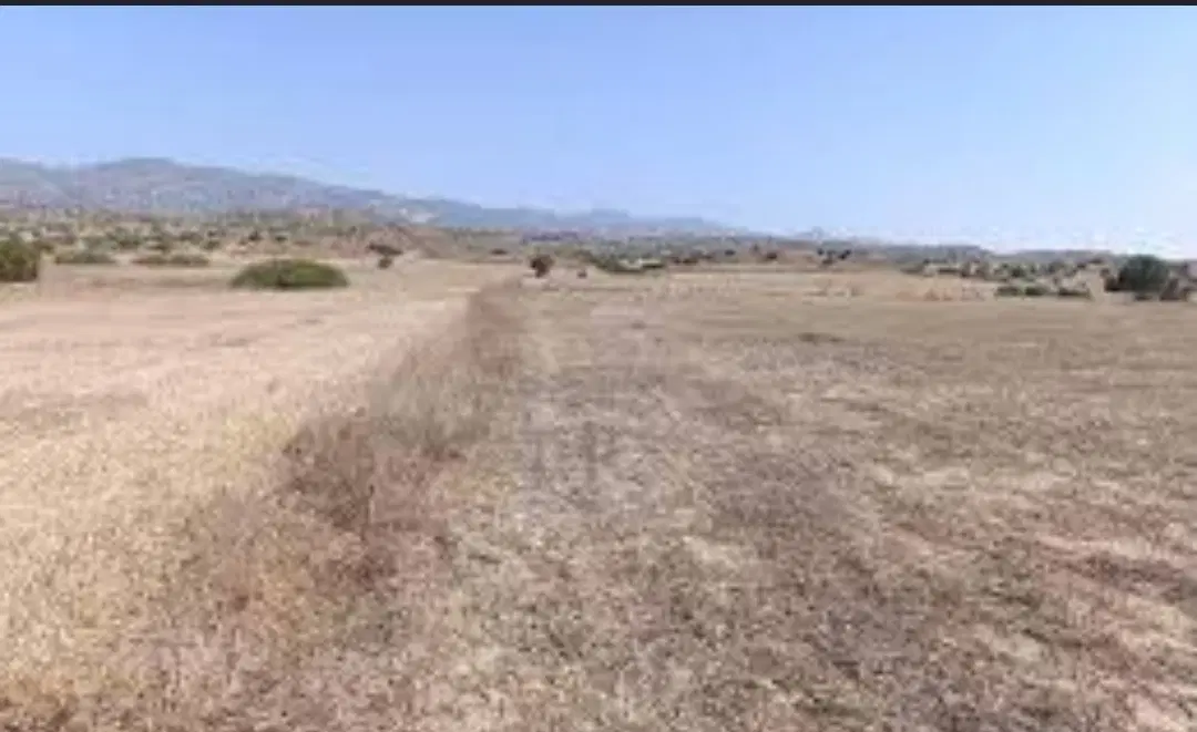 فروش زمین مسکونی