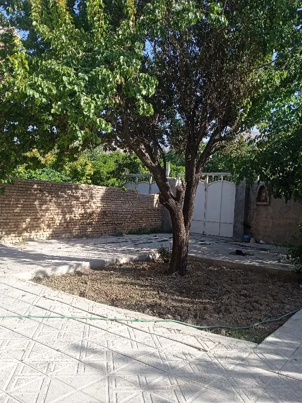 زمین محله 43 فرزندآوری