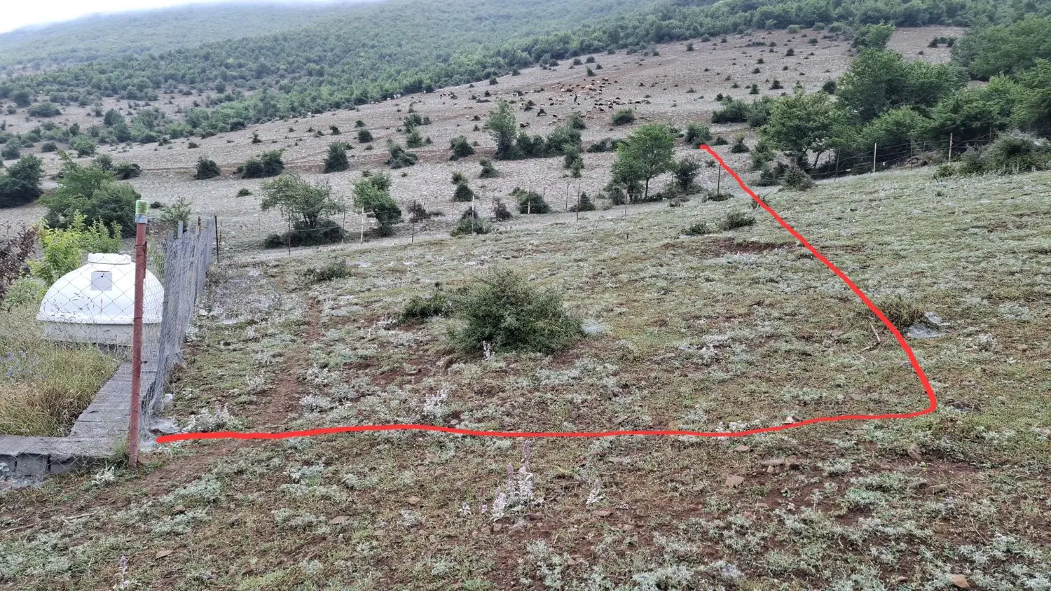 ۲۰۰ متر زمین در روستای لرگان نوشهر