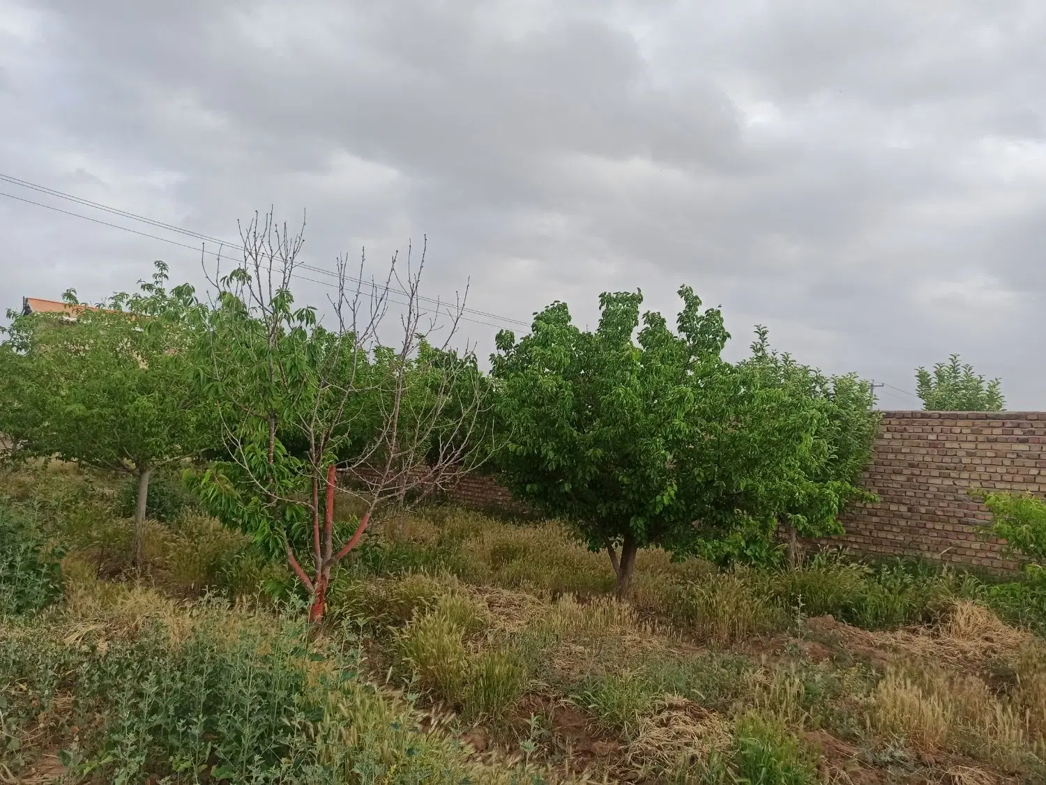 ۸۱۰ متر زمین باغی با مجوز دیوار