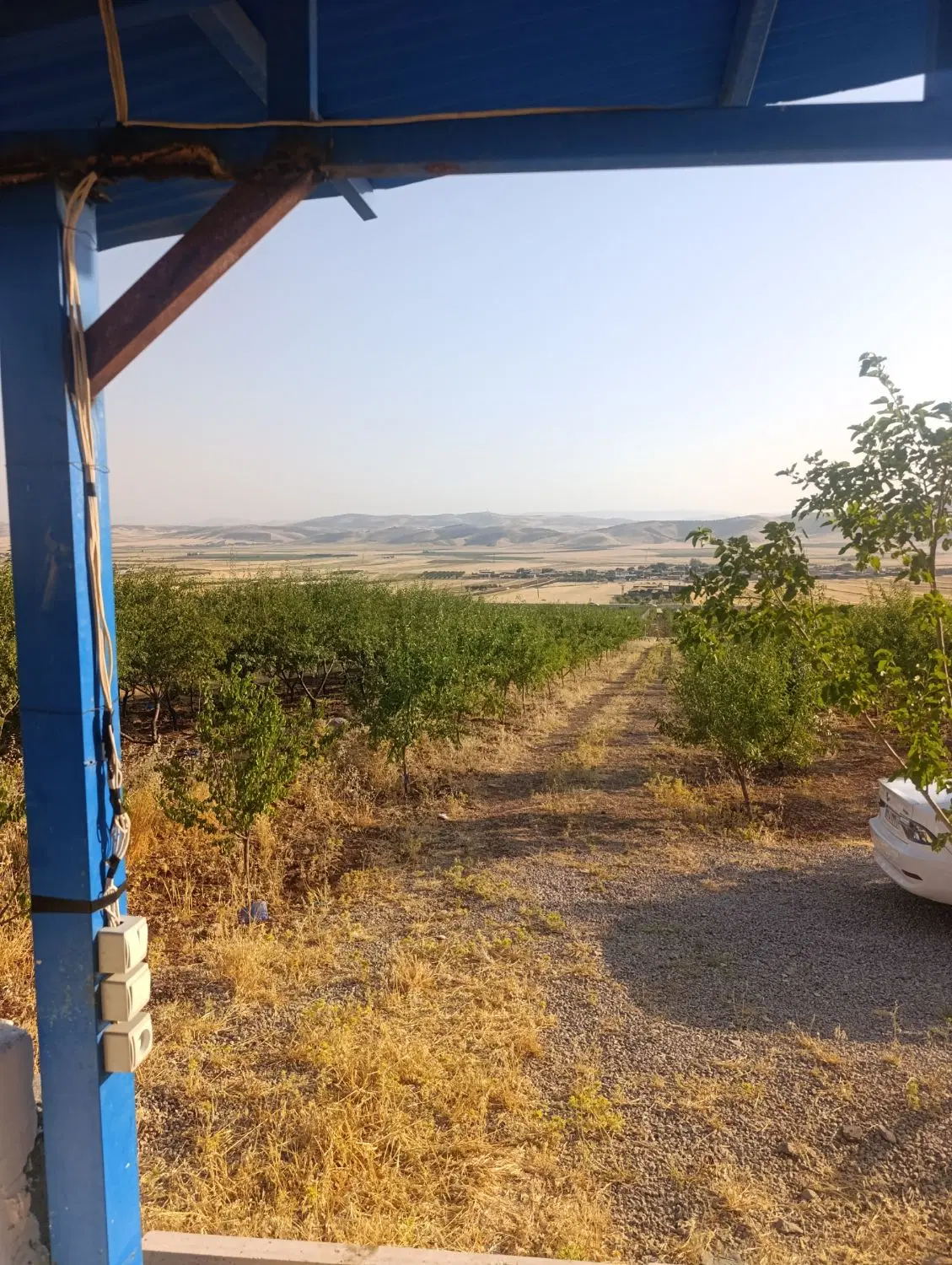 فروش باغ 1700متری