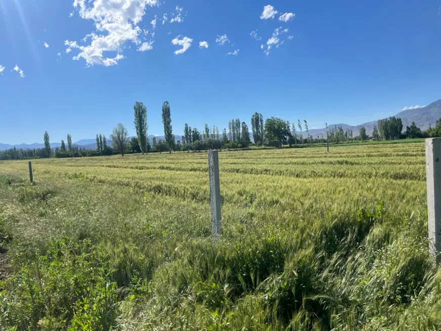 زمین کشاورزی مناسب برای باغ