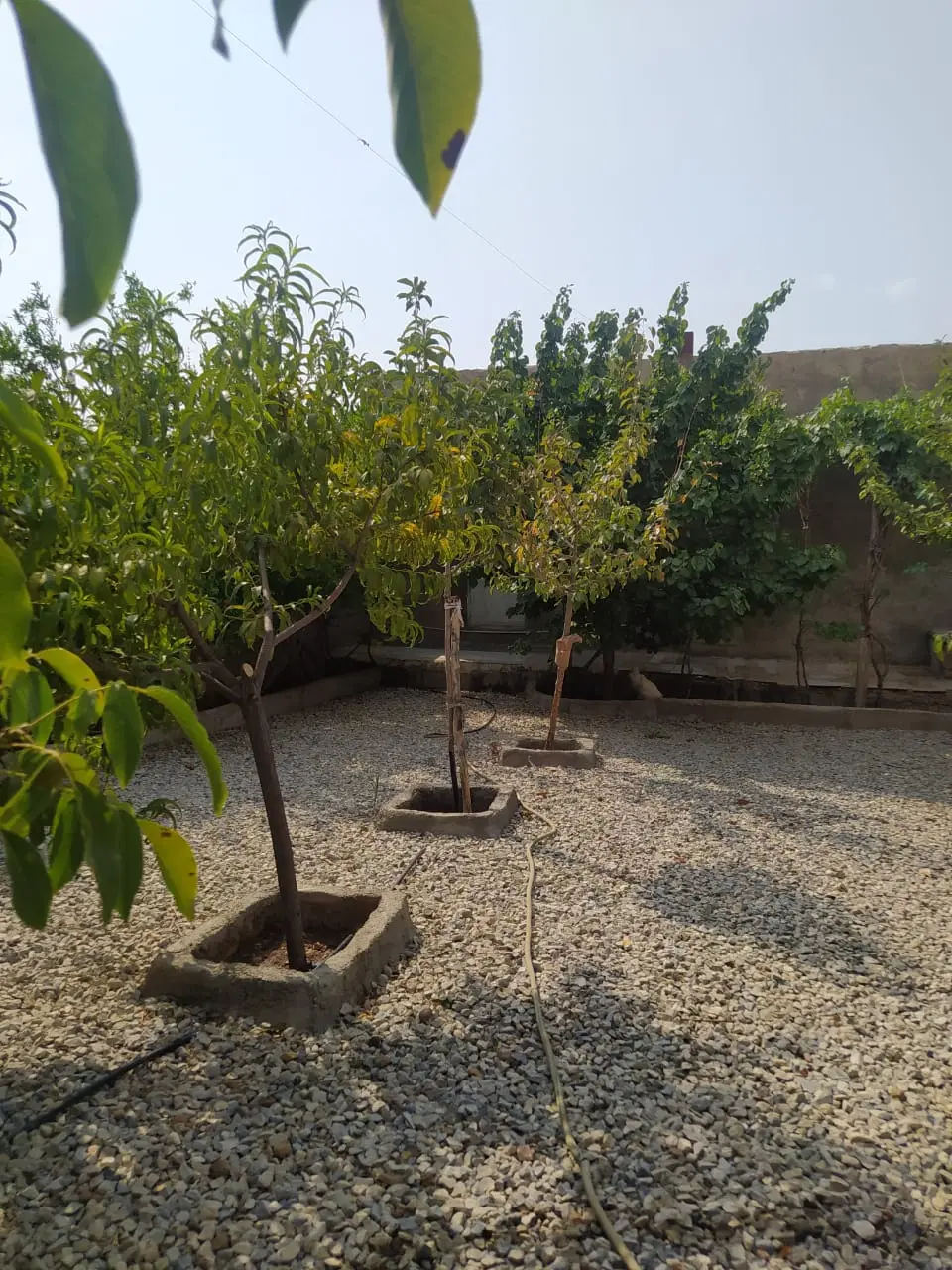 خانه باغ سه طبقه