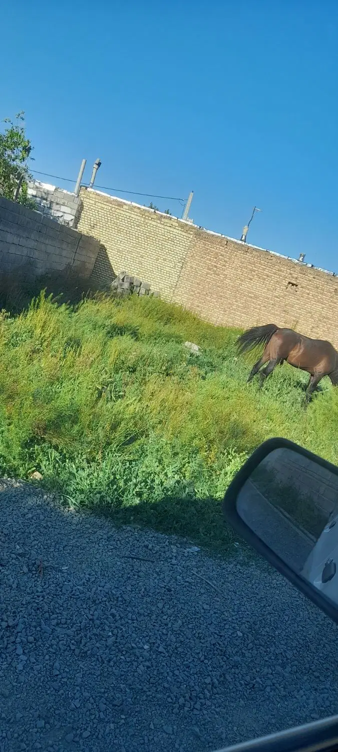 زمین روستایی
