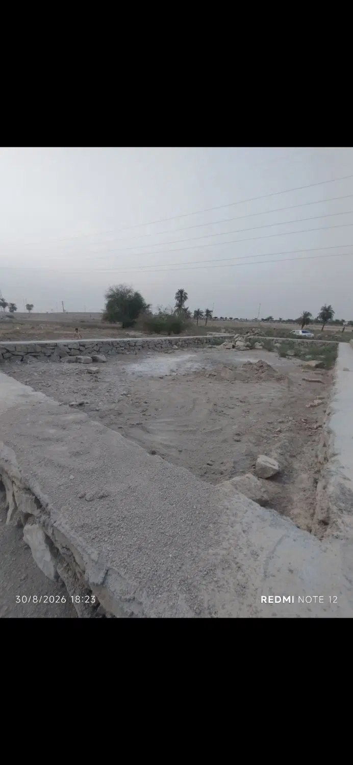 کوی نخلستان