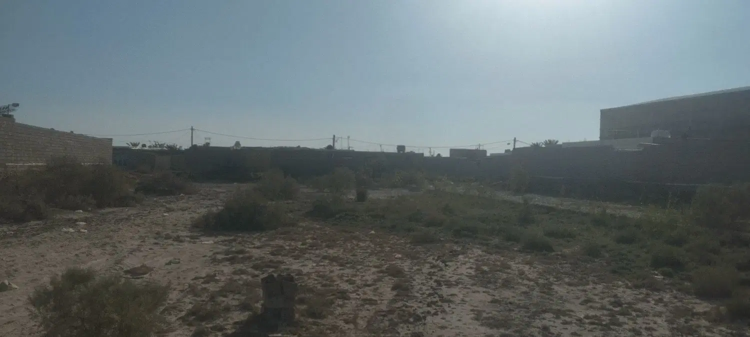 زمین تجاری شادگان