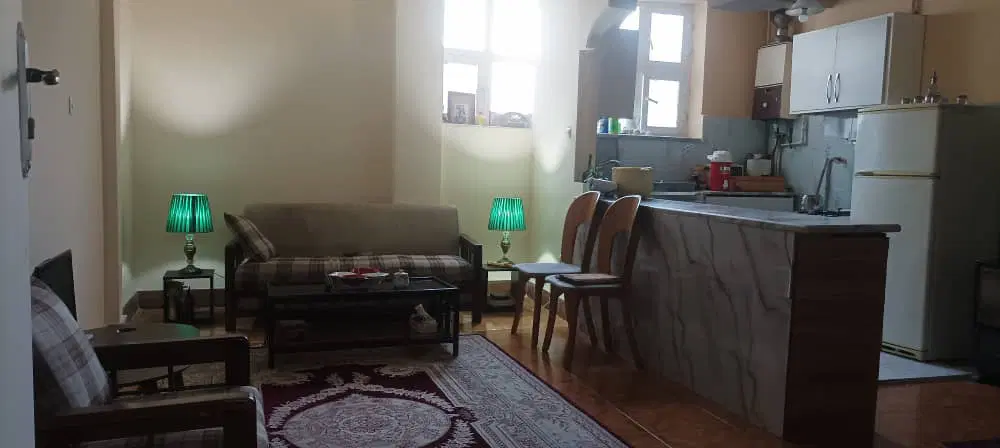 همخونه خانم