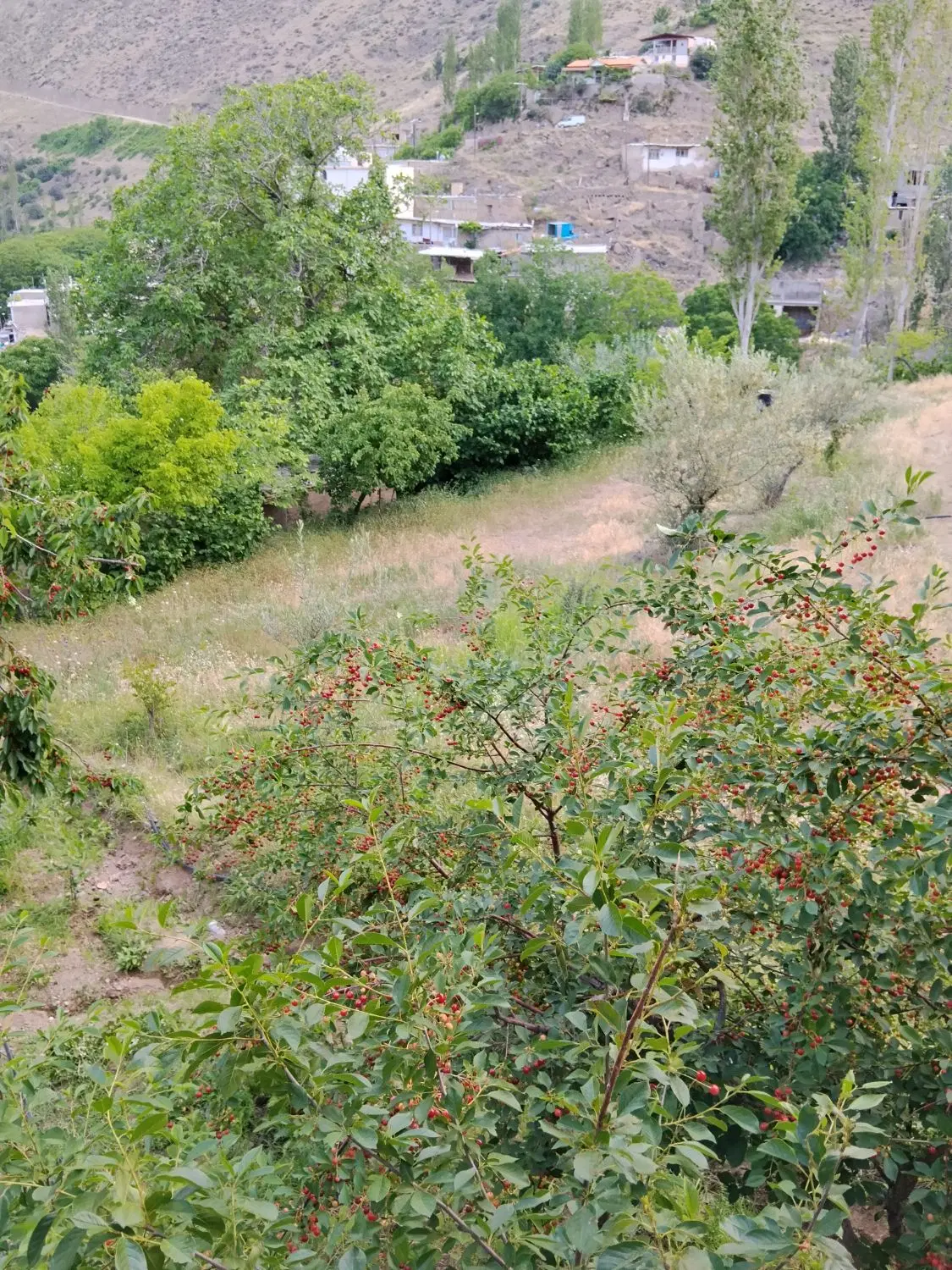 همکف مناسب انباری یا کارگاه