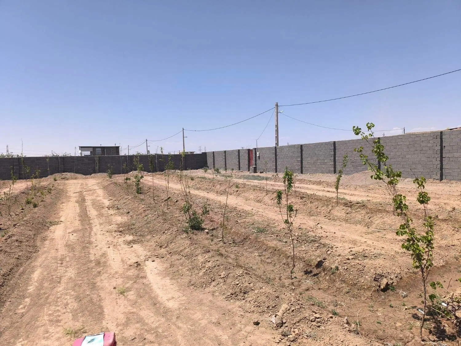 فروش ۸۸قصب زمین خانه باغ
