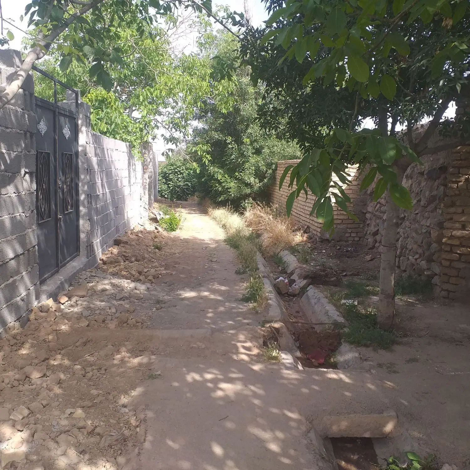 زمین باغی