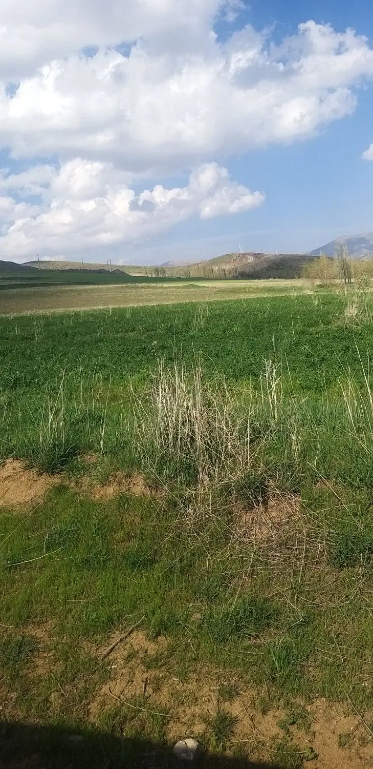 فروش زمین زراعی
