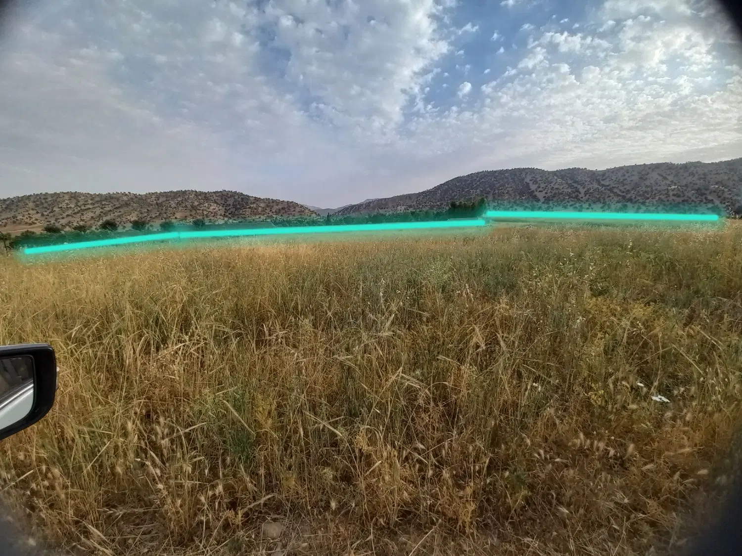 زمین باغ