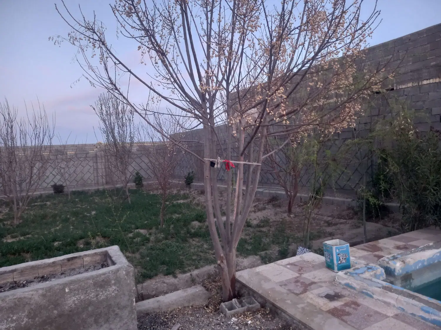 باغ آماده در شهر زیار