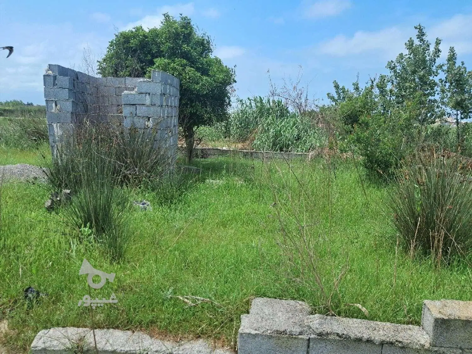 ۲۳۴ متر زمین دو نبش