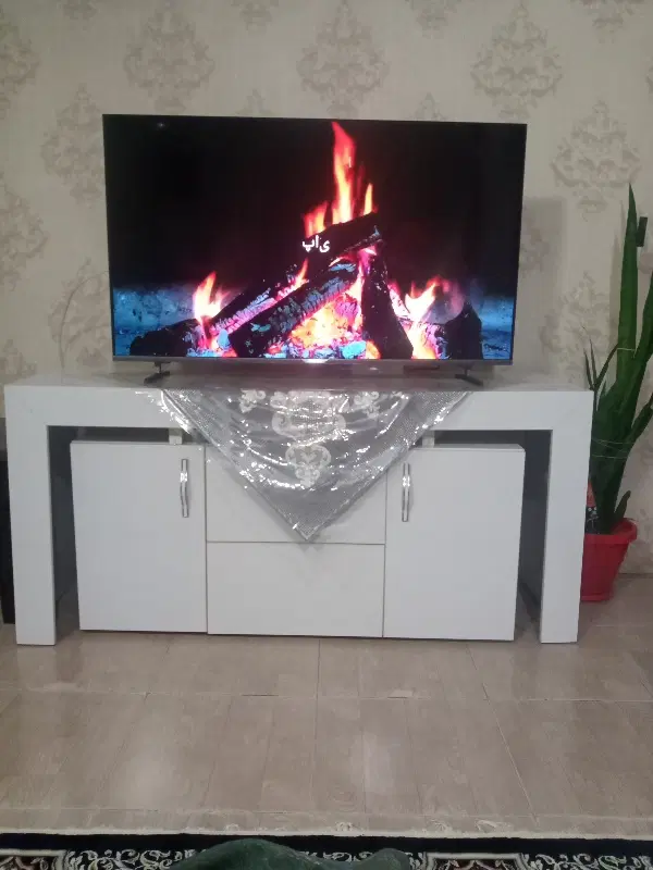 مستاجری