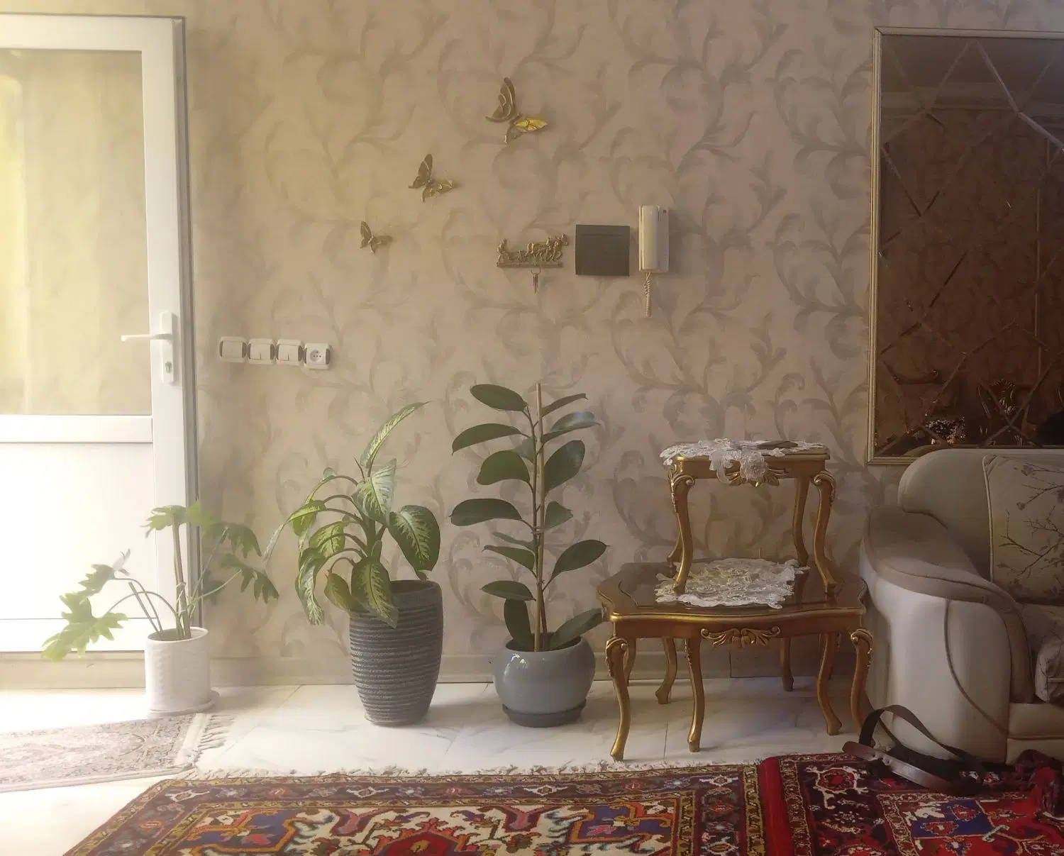 حیاط ۸۳ متری شمالی بفروش میرسد