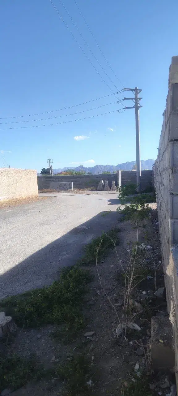 زمین باغی