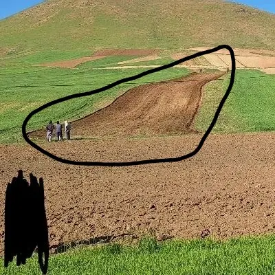 زمین کشاورزی دیم