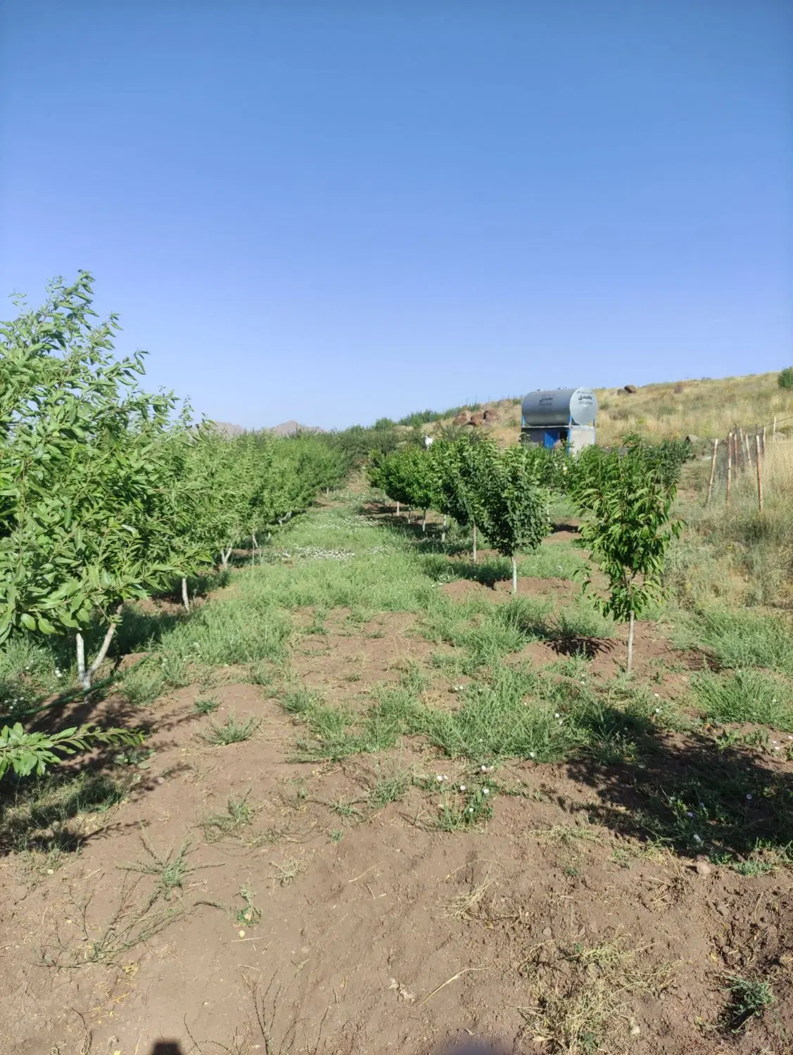 باغ دریابک زرشک مایل به معاوضه هم هستم