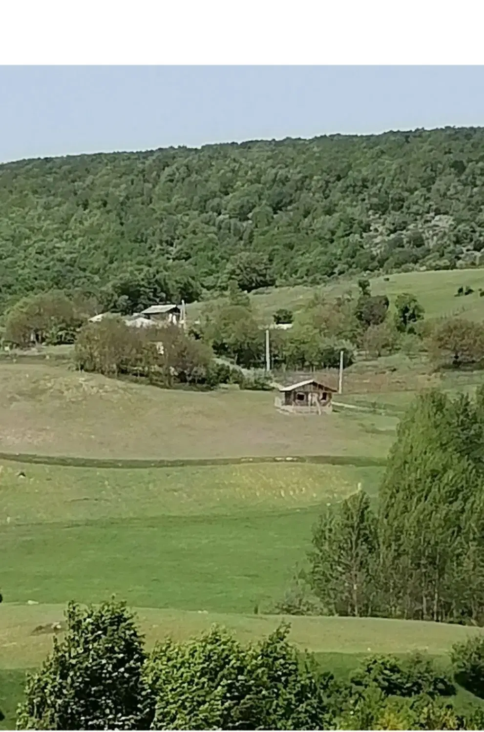 زمین
