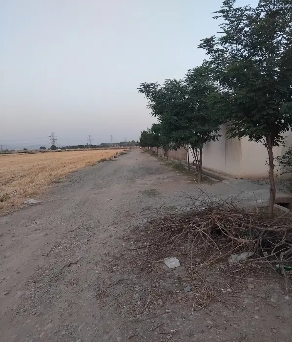 زمین در قطعات ۲۵۰ متر به بالا جیتو