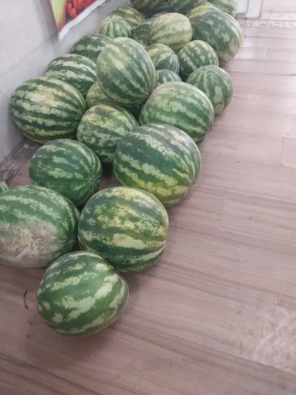اجاره مغازه میوه فروشی