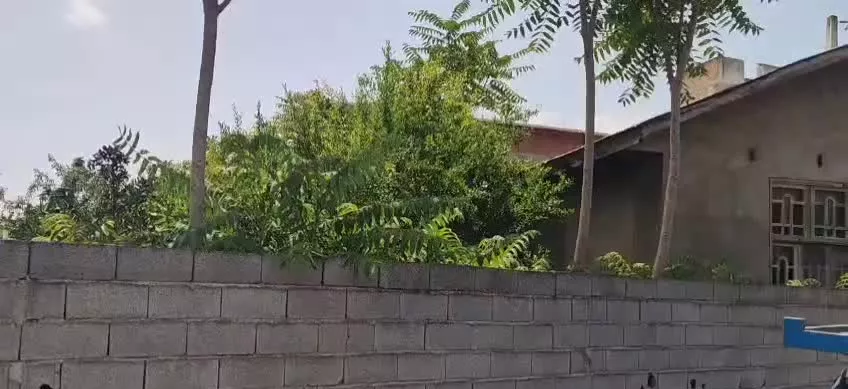 زمین مسکونی ۶۰۰ متری بالاگتاب