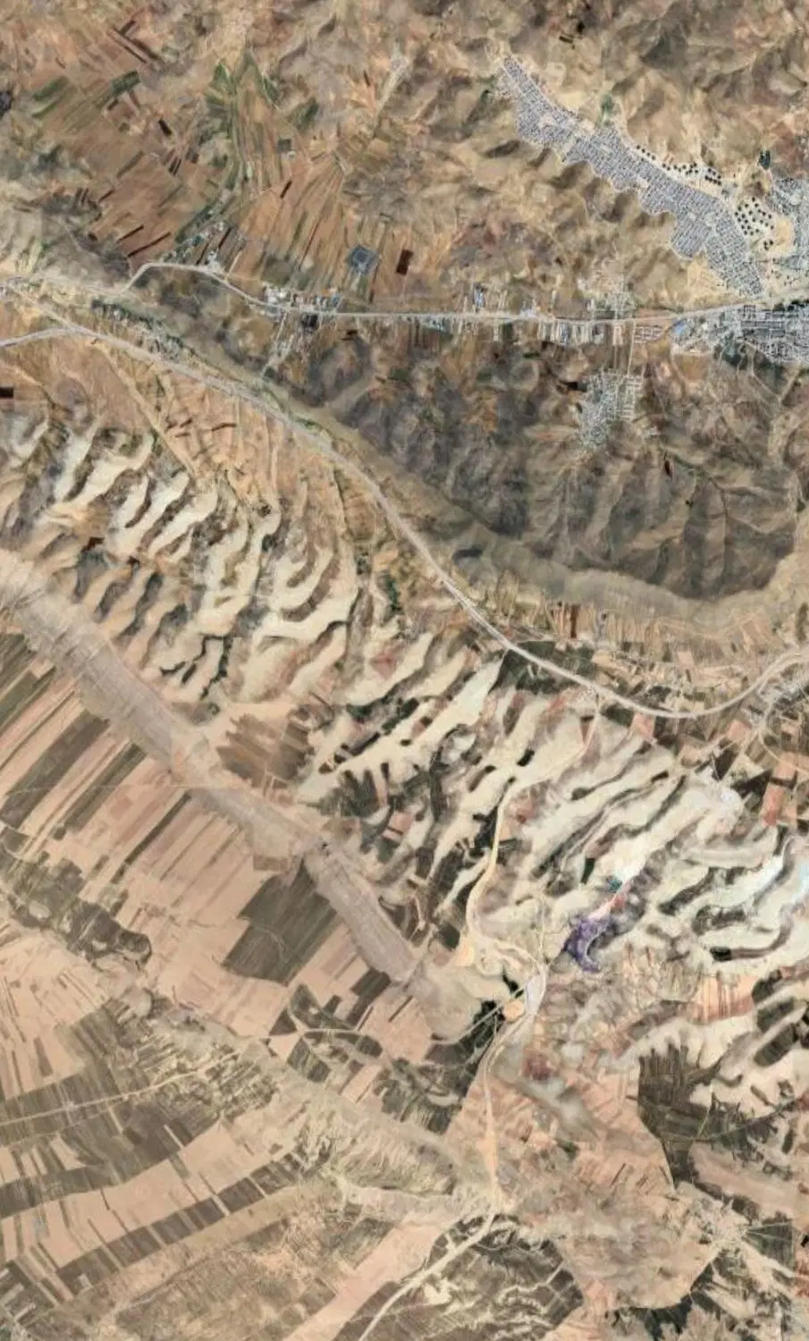 درو ۱۵۰ هکتار گندم