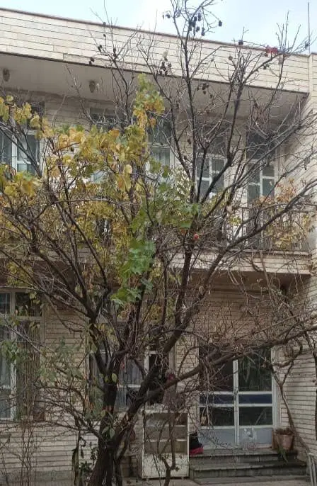 فروش حیاط مسکونی شمالی 2 طبقه