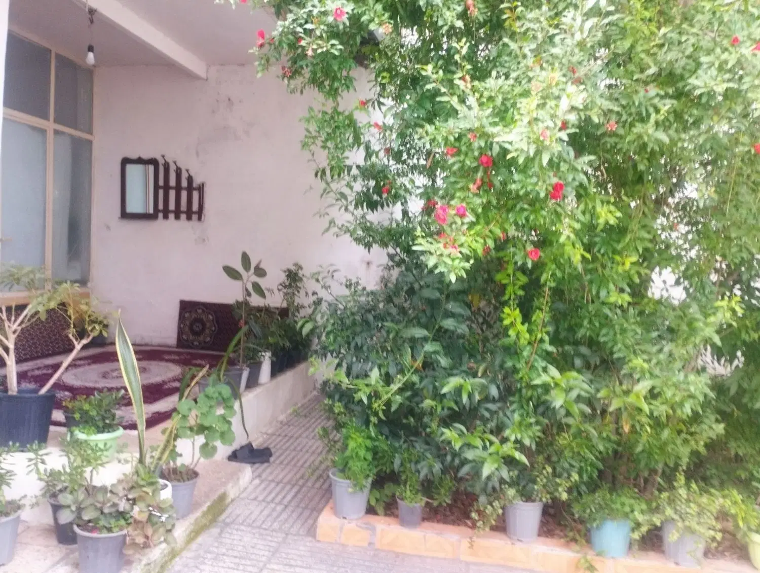 خونه بزرگ ویلایی محتشم 10فراز2