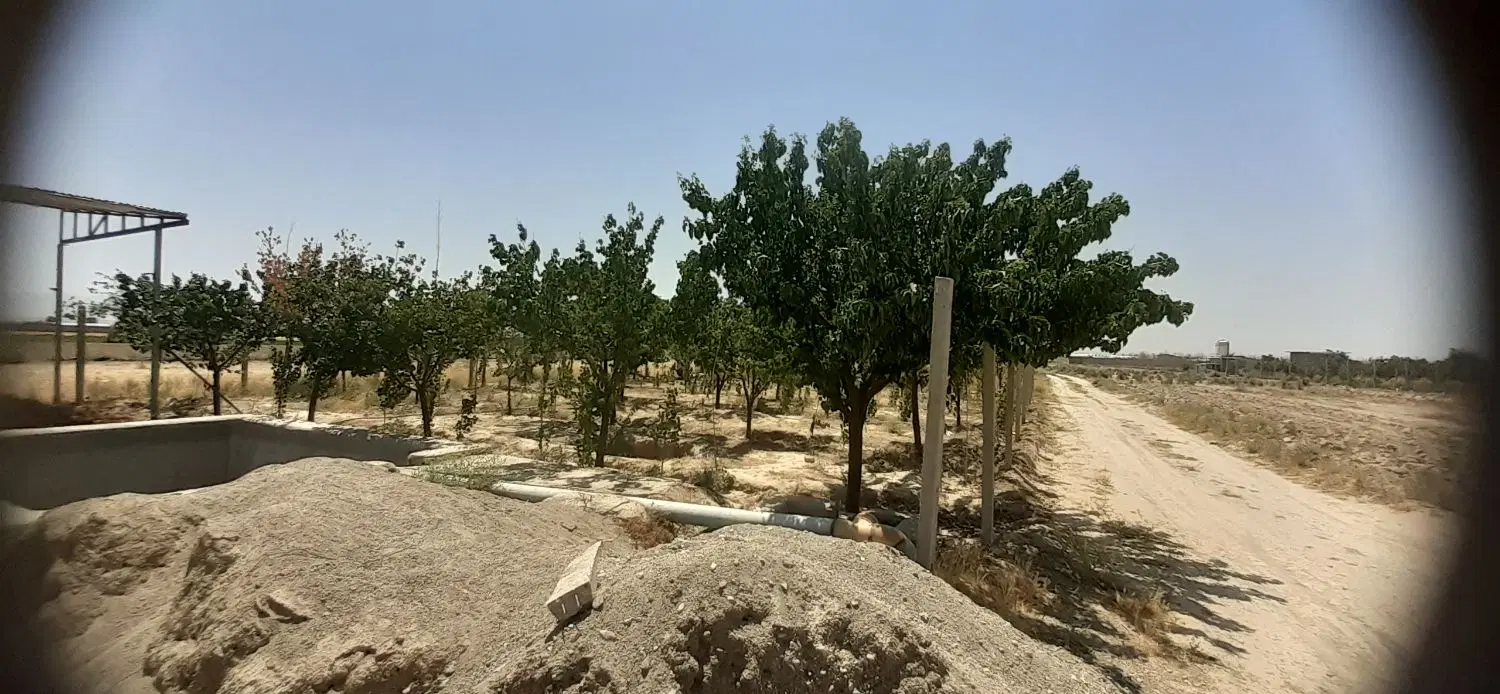 باغ ۱۰۱۹متر