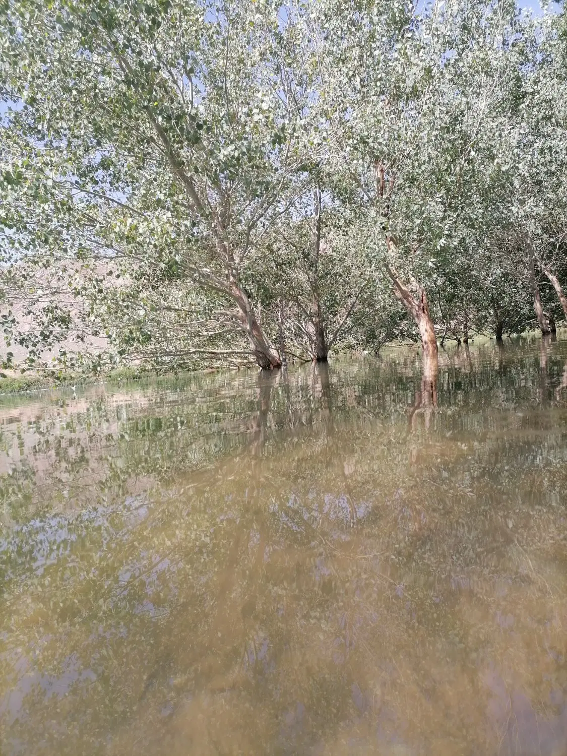 زمین کشاورزی