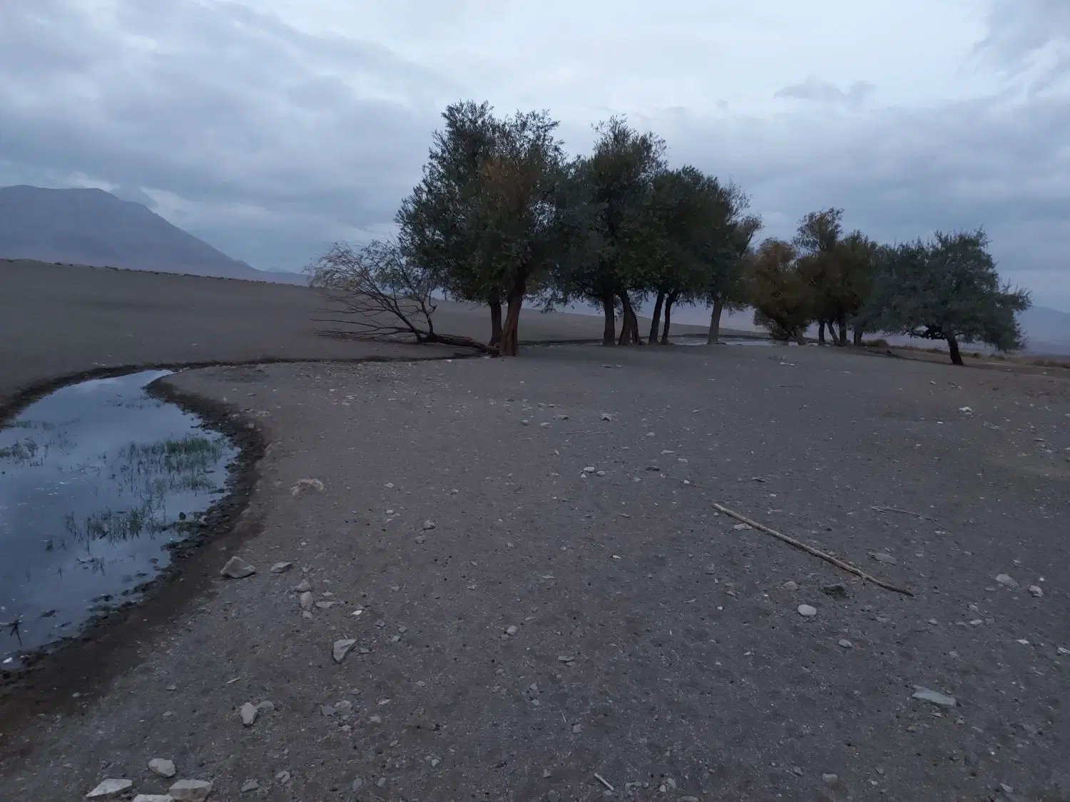ویلا مبله با کل امکانات روزانه هفتگی عقیل ابا